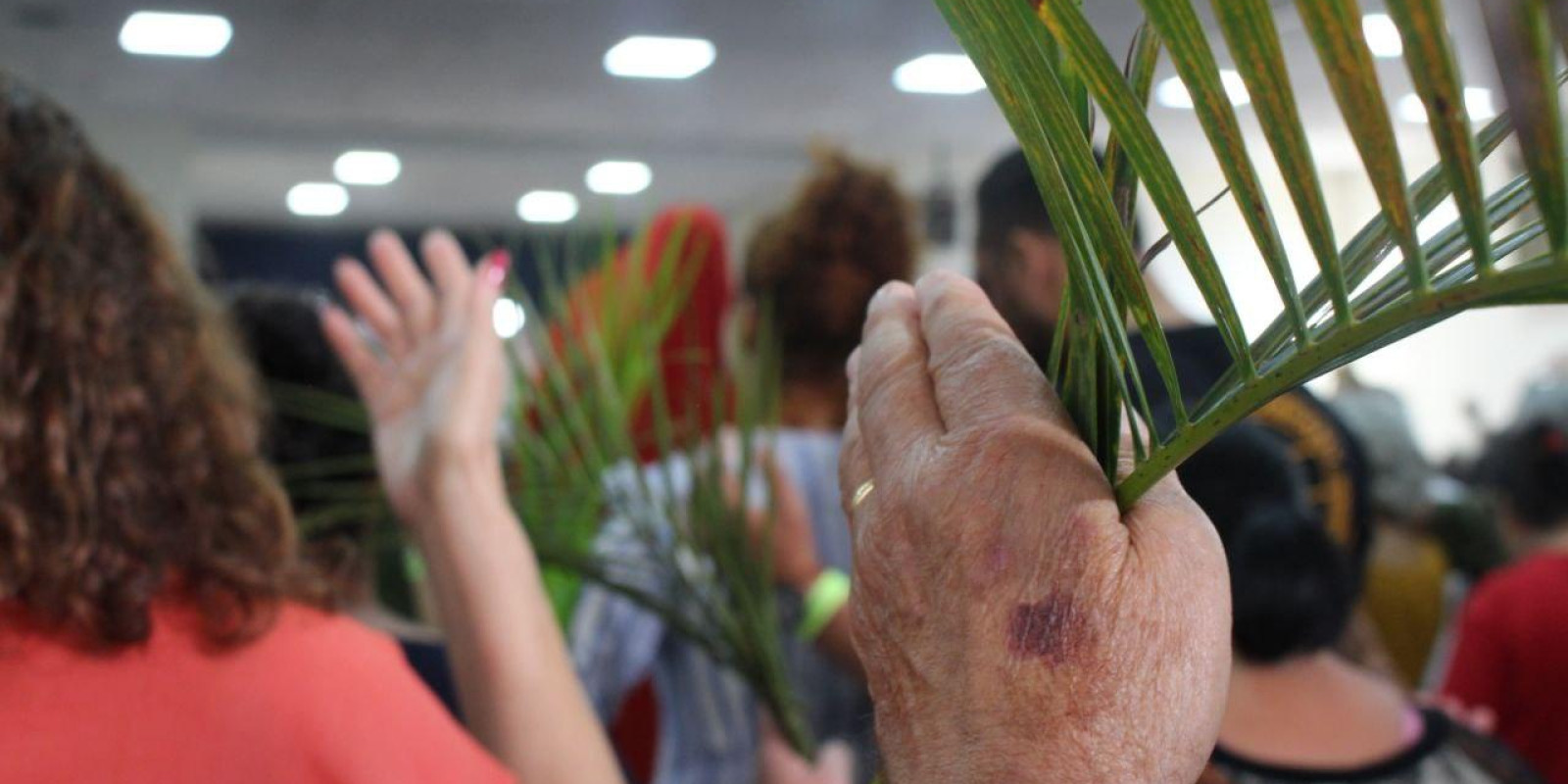 Mais de duas mil pessoas participam da Missa de Ramos