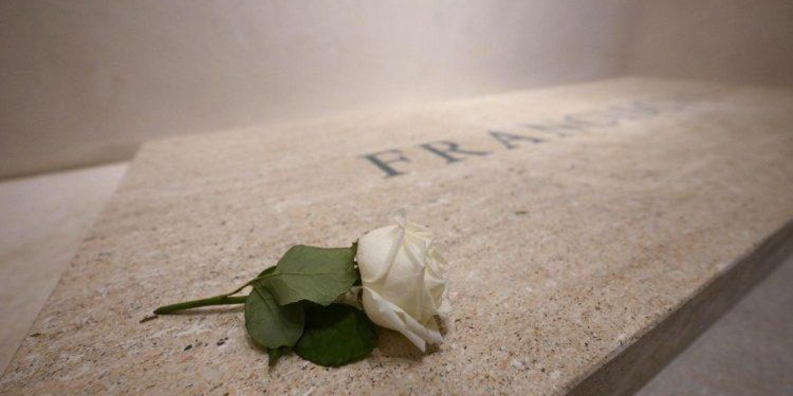 A ROSA BRANCA QUE REPOUSA NA LÁPIDE DE FRANCISCO